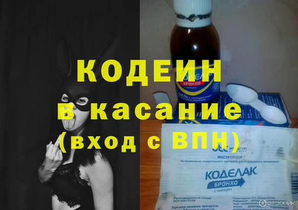 твердый Заводоуковск