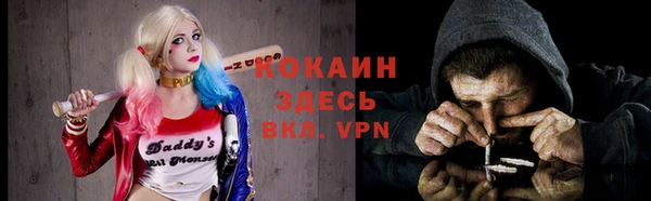 твердый Заводоуковск