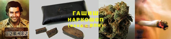 твердый Заводоуковск