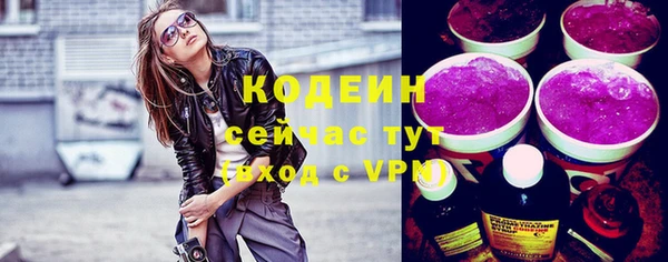 твердый Заводоуковск