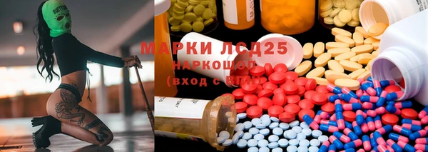 ПСИЛОЦИБИНОВЫЕ ГРИБЫ Валдай