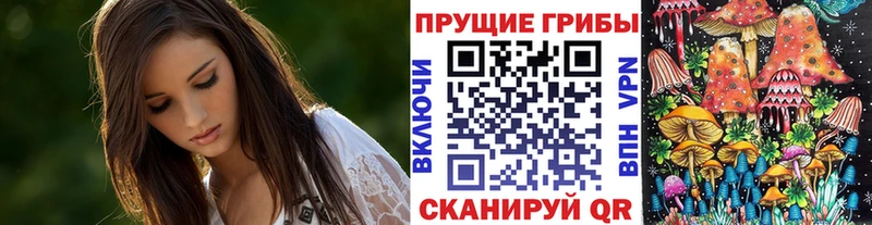 МЕГА маркетплейс  купить наркоту  Кинешма  Галлюциногенные грибы GOLDEN TEACHER 