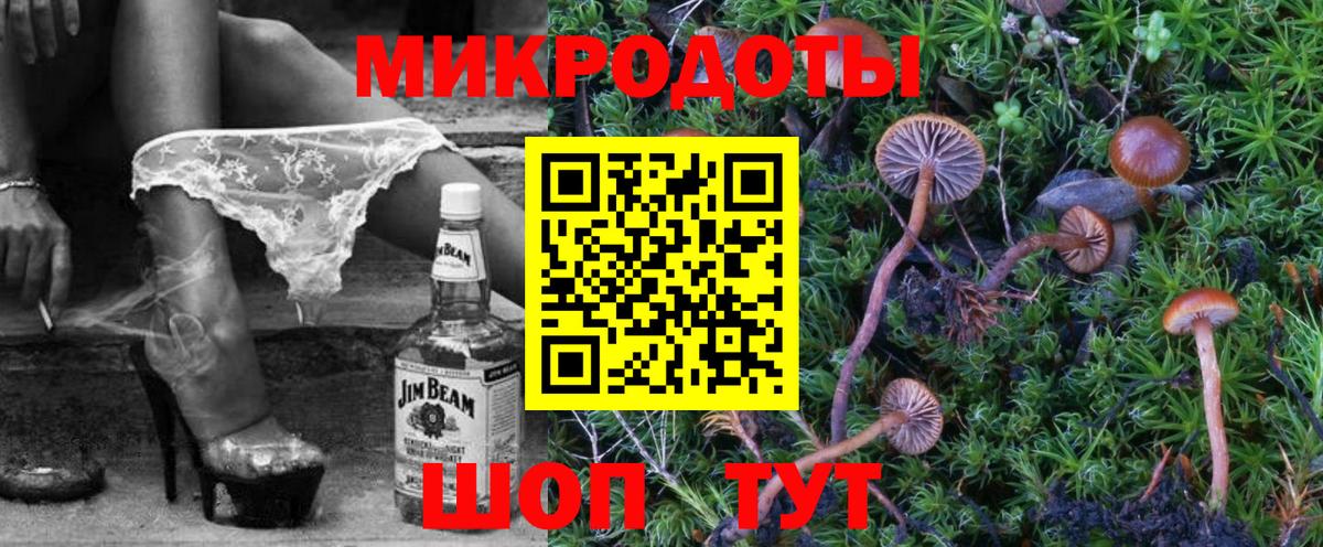 Псилоцибиновые грибы Cubensis Кинешма