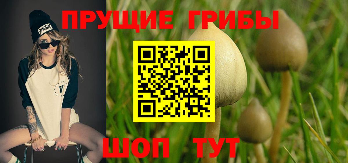 Кинешма  Псилоцибиновые грибы GOLDEN TEACHER  Вход с VPN 